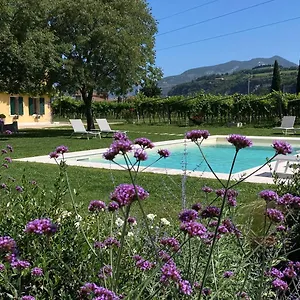 Campagnon Valpolicella Couette-café
